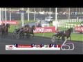 Prix d'Amérique 2013 - Royal Dream (Jean-Philippe Dubois)