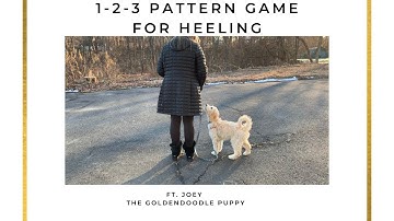 1-2-3 Pattern Game | Introducing Heeling