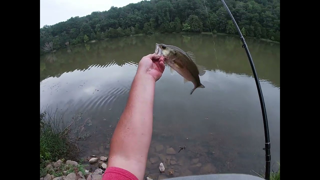 Camp Carlson bass fishing