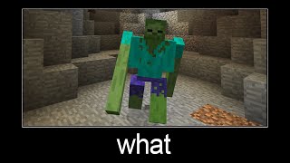 Minecraft wait what meme part 86 (zombie golem)