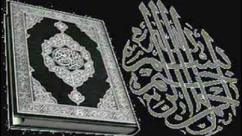 سورة فصلت-2 والاخير-الشيخ صابر عبد الحكم.flv
