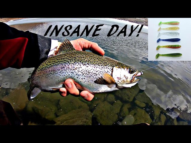 HOW TO Catch TROUT With SOFT BAITS - Every Cast A Fish! 