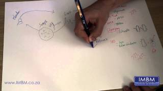 Extracting Genomic DNA Part 1 Net Worth