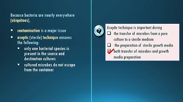 Lab #2: Aseptic Technique
