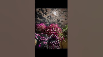 ﴿يَوْمَ يَقُومُ الرُّوحُ وَالْمَلَائِكَةُ صَفًّا﴾[ سورة النبأ: 38]عبدالرحمن مسعد🎀. #أجر_لي_ولكم