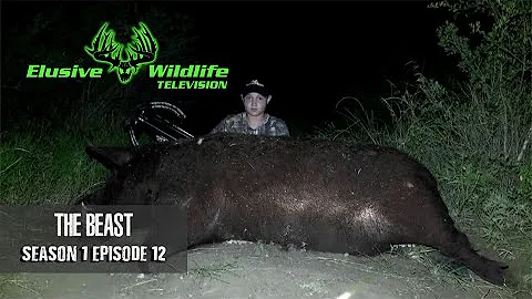 Elusive Wildlife S1:E12: BIGGEST HOG WE HAVE EVER SHOT!! | Youth Hunt Giant Boar | 2 Huge Hogs!!