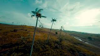 fpv freestyle | | dancing with trees