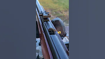 TOZ 8M At 100 Yards 