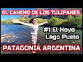 El camino de los tulipanes🌷#1 El Hoyo, Lago Puelo, Patagonia Argentina🇦🇷