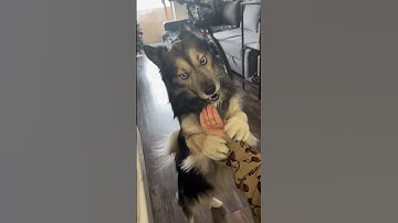 He understood the assignment !