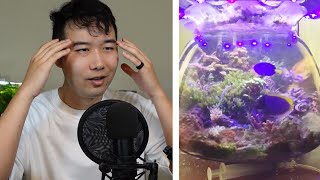 THIS SALTWATER FISH BOWL WILL LEAVE YOU SPEECHLESS | Fish Tank Review 111