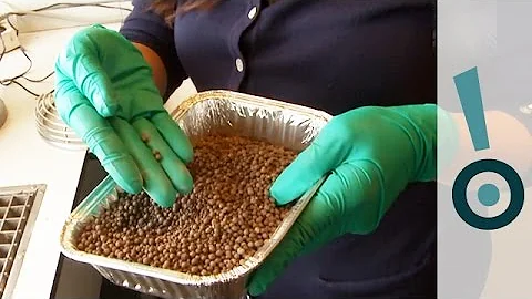 A Recipe For Self-healing Concrete! - Science Snapshot