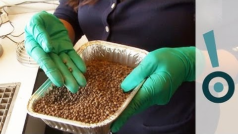 A Recipe For Self-healing Concrete! - Science Snapshot