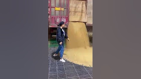 bulk container unloading in women#viralvideo #satisfied #technology #agriculture #girls #women works