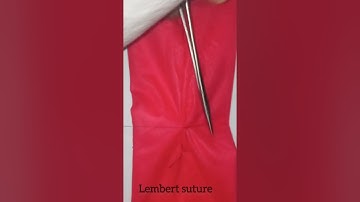 Lembert suture and cushing suture