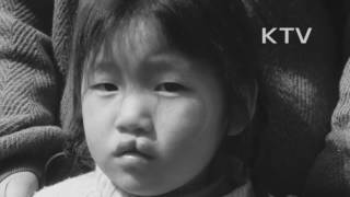 대한뉴스 제 820호-이런일 저런일