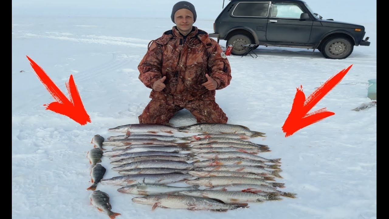 Рыбалка в марте на озерах. Ловля щуки в марте на балансир по льду.