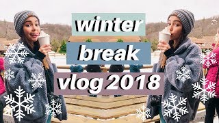 Winter Break Vlog 2018: Skiing, Skating, & More!