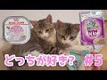 ロイヤルカナンVSカルカン★うちの子はどっちが好き？【ねこパン】20190910