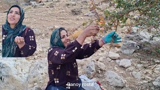 Rebuilding Our Home in the Wild 🌿 | Foraging in the Mountains for My Kids
