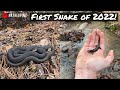 New Years Day Herping in Georgia! Looking for the First Snake of 2022!
