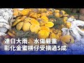 大雨及災害影響