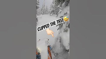 Flipped the tree on the way by🤷‍♂️ That’ll happen.