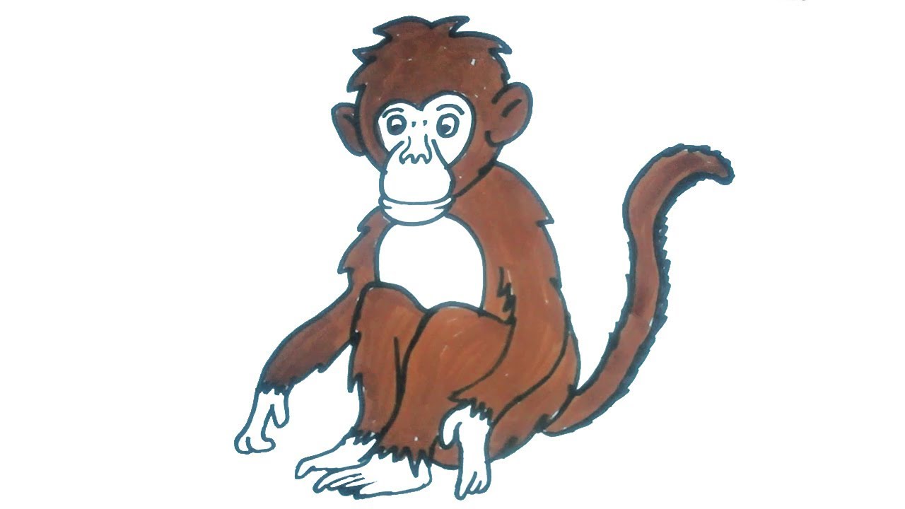 How To Draw A Monkey Easy Step By Step Drawing For Kids Children Drawing And Coloring Youtube Old draw for i don't remember what. how to draw a monkey easy step by step drawing for kids children drawing and coloring