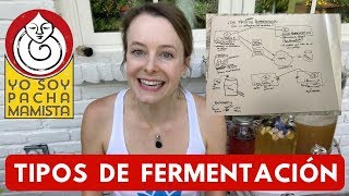 Tipos de FERMENTACIÓN (de verduras y otros alimentos)