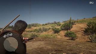 Red Dead Redemption 2 2022 05 15   18 14 09 01