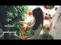 #25 4 Gardening Tips for Beginner | My first harvest in the small Vertical Garden on the Balcony