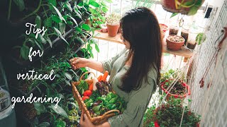 #25 4 Gardening Tips for Beginner | My first harvest in the small Vertical Garden on the Balcony