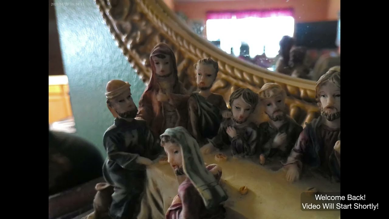 Minolta MDN50 Camera Photo Review Day 2