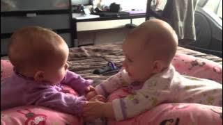 Download lagu Twin babies talk and hold hands for the first time