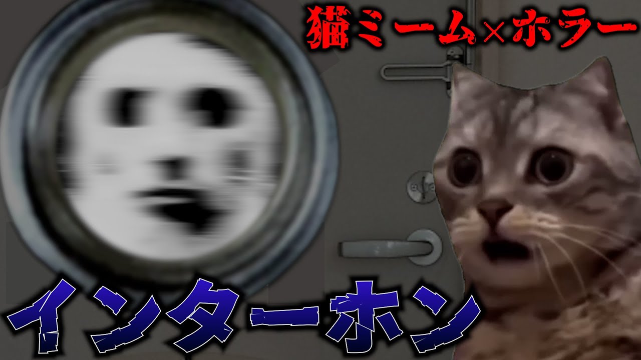 【猫ミーム×怖い話】真夜中に鳴るインターホン #怖い話 #ゾッとする話 #猫マニ