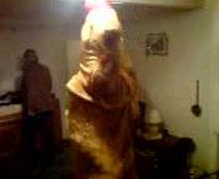Camel Party