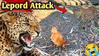 Leopard attack in my hen ? | village vlogs | Shehr main dihat | Pets vlogs