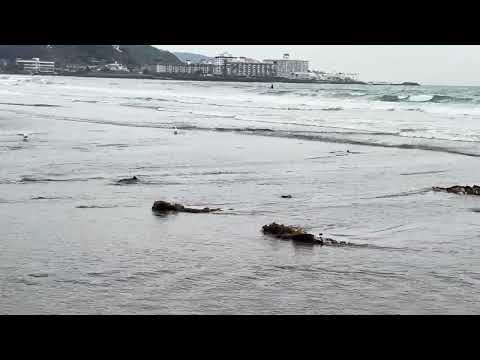 relaxing in the sea japan🩷🩷