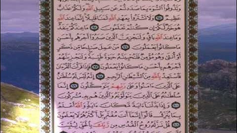 القران الكريم سورة النحل من الاية 88 الى الاية 102