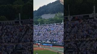 폭염속 응원 #롯데자이언츠 #롯데자이언츠응원#프로야구#매진#응원가