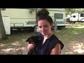 Pets in an RV - How We Live With a Bunny in Our RV!