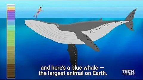 This incredible animation shows how deep the ocean really is