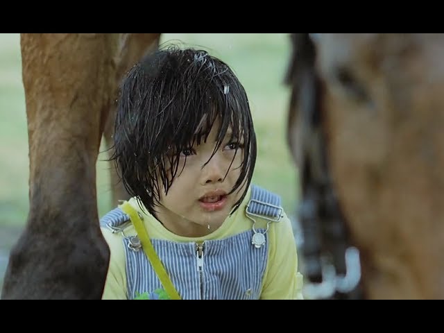 一匹通人性的母马，每天接小主人放学，下雨就用身体替她遮风挡雨