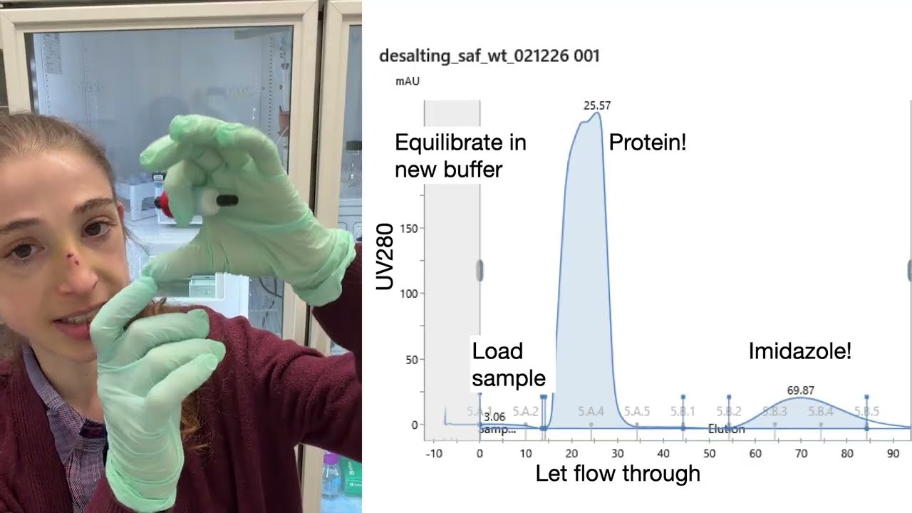 Don't be fooled by imidazole! It absorbs UV280, just like protein – on chromatogram it'll be seen!