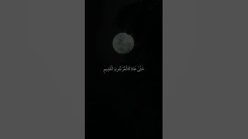 تلاوة خاشعة بصوت الشيخ ماهر معيقلي ارح قلبك