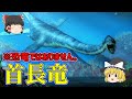 【ゆっくり解説】恐竜ではありません。首長竜の仲間たち ８選