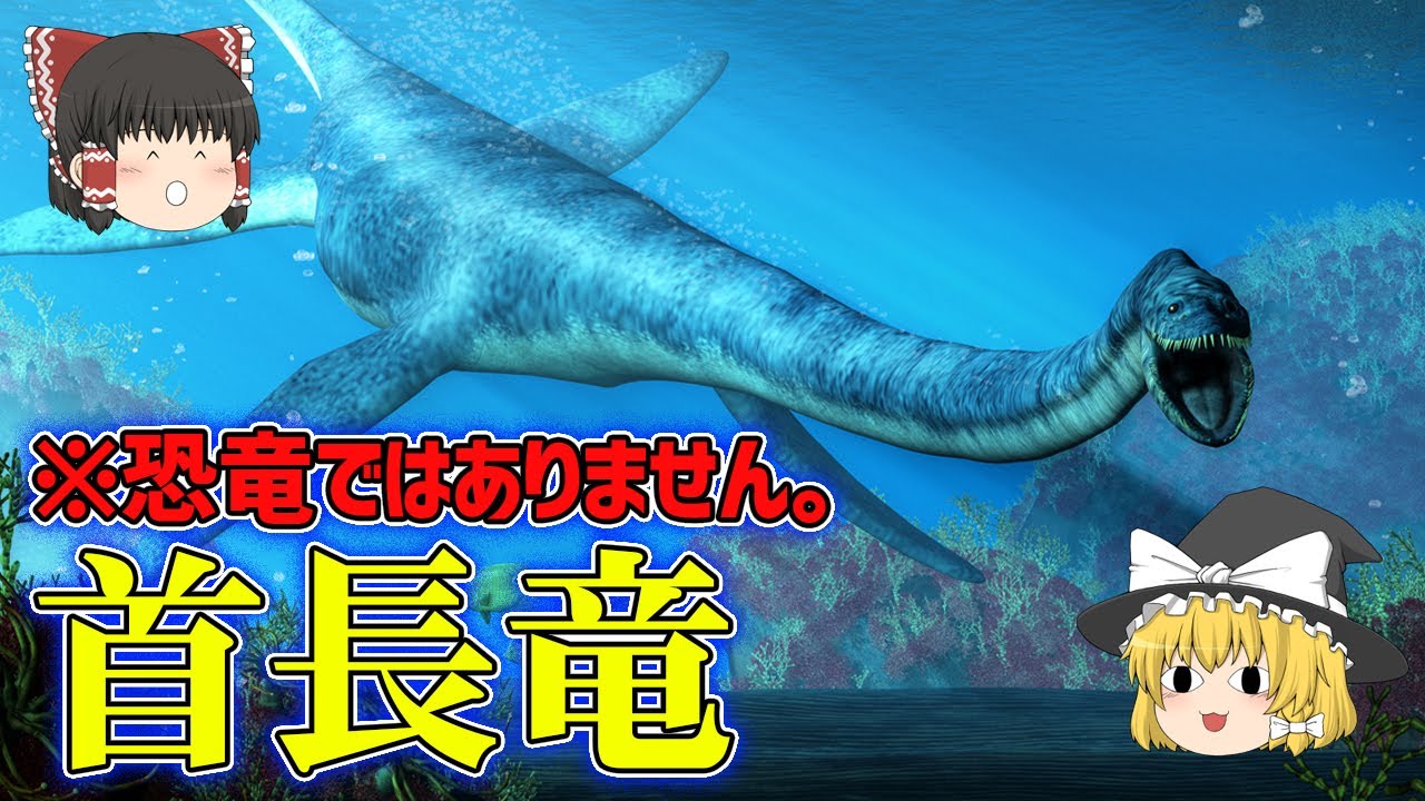 【ゆっくり解説】恐竜ではありません。首長竜の仲間たち ８選