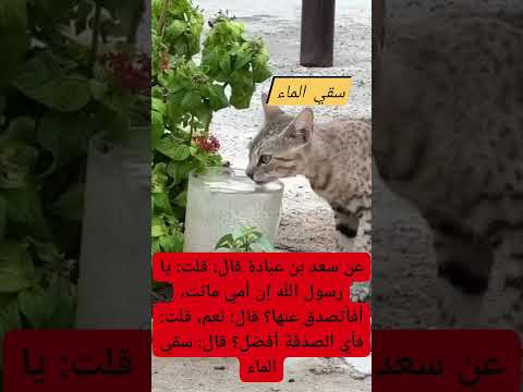 عن سعد بن عبادة قال قلت يا رسول الله إن أمي ماتت أفأتصدق عنها قال نعم قلت فأي الصدقة أفضل قال سقي ال