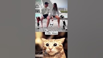 MR BOMBASTIC FUNK ☠️💥 #shorts #tiktok #cat #memes #mrbombastic #catbombastic | MrCatBombastic2.0