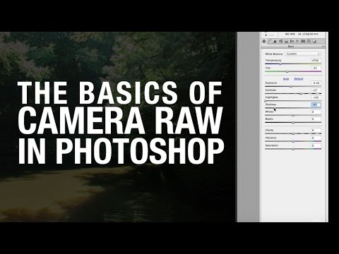 Camera RAW basics in Adobe Photoshop